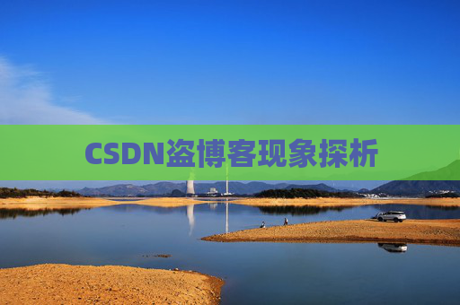 CSDN盗博客现象探析